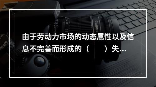 由于劳动力市场的动态属性以及信息不完善而形成的（　　）失业是