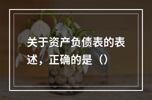 关于资产负债表的表述，正确的是（）