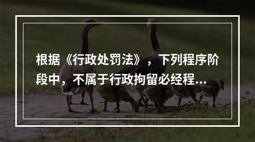 根据《行政处罚法》，下列程序阶段中，不属于行政拘留必经程序的