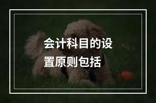 会计科目的设置原则包括