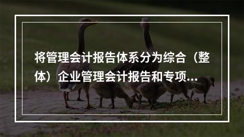 将管理会计报告体系分为综合（整体）企业管理会计报告和专项（分