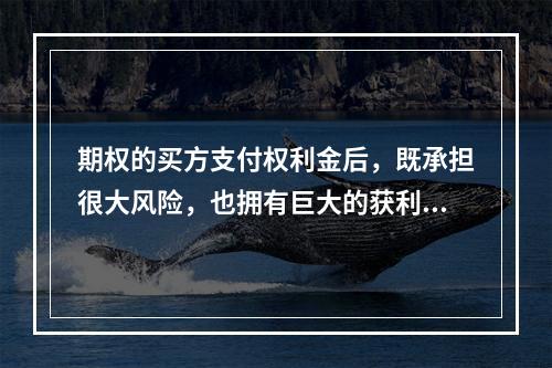 期权的买方支付权利金后，既承担很大风险，也拥有巨大的获利潜力