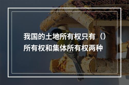 我国的土地所有权只有（）所有权和集体所有权两种