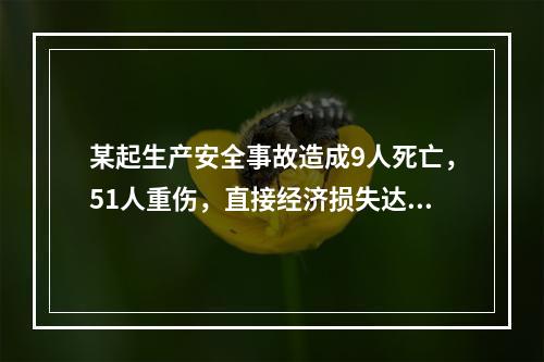 某起生产安全事故造成9人死亡，51人重伤，直接经济损失达20