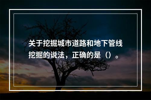 关于挖掘城市道路和地下管线挖掘的说法，正确的是（）。