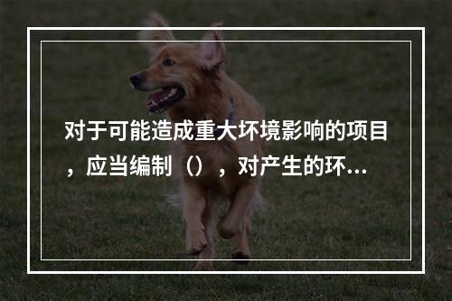 对于可能造成重大坏境影响的项目，应当编制（），对产生的环境影