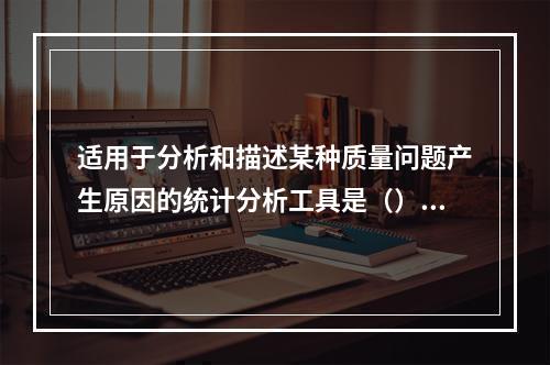 适用于分析和描述某种质量问题产生原因的统计分析工具是（）。