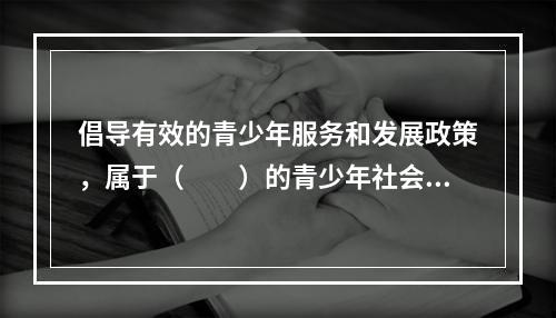 倡导有效的青少年服务和发展政策，属于（　　）的青少年社会工作