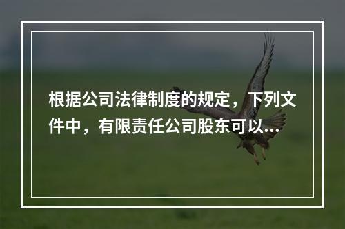 根据公司法律制度的规定，下列文件中，有限责任公司股东可以查询