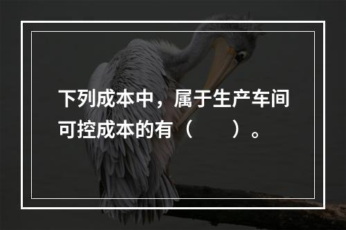 下列成本中，属于生产车间可控成本的有（　　）。