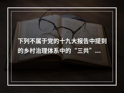 下列不属于党的十九大报告中提到的乡村治理体系中的“三共”的是