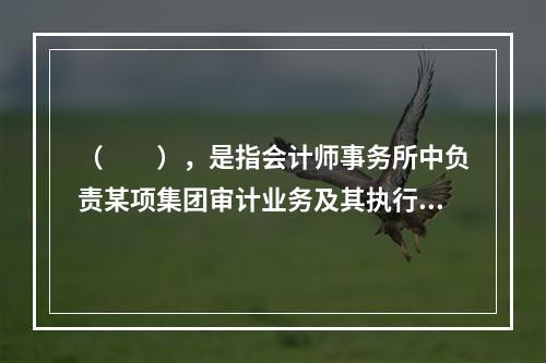 （  ），是指会计师事务所中负责某项集团审计业务及其执行，并