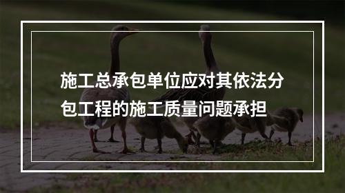 施工总承包单位应对其依法分包工程的施工质量问题承担