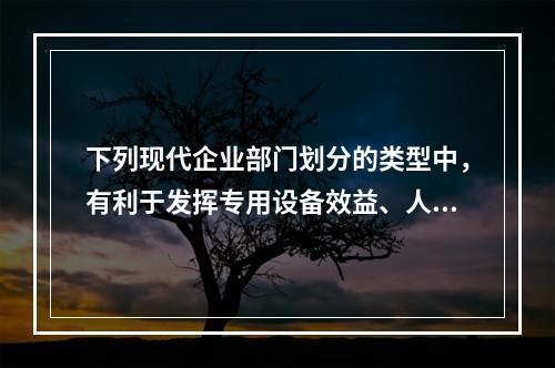 下列现代企业部门划分的类型中，有利于发挥专用设备效益、人员技