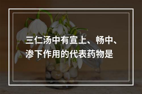 三仁汤中有宣上、畅中、渗下作用的代表药物是