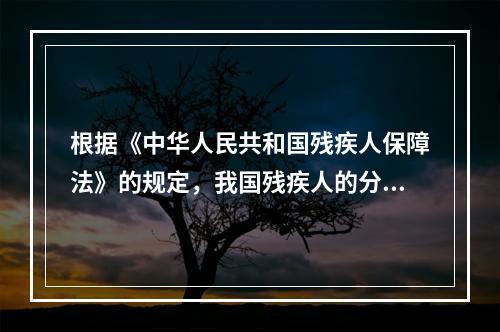 根据《中华人民共和国残疾人保障法》的规定，我国残疾人的分类包