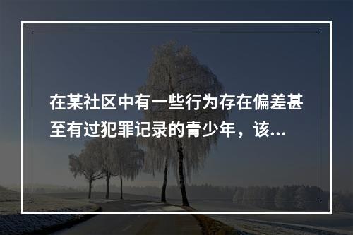 在某社区中有一些行为存在偏差甚至有过犯罪记录的青少年，该社区