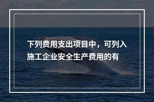 下列费用支出项目中，可列入施工企业安全生产费用的有