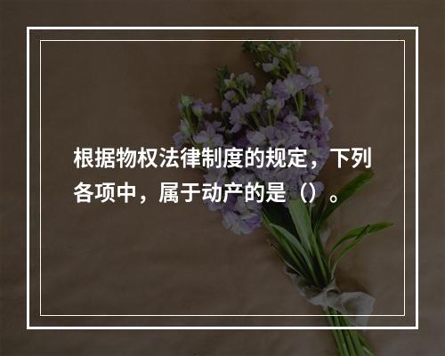 根据物权法律制度的规定，下列各项中，属于动产的是（）。