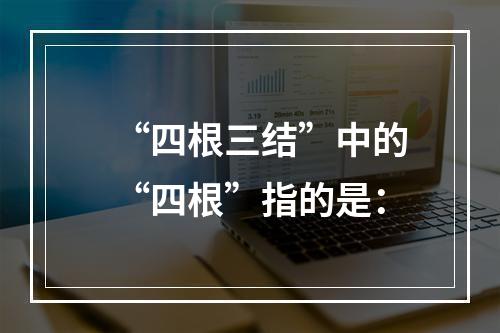 “四根三结”中的“四根”指的是：