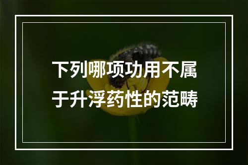 下列哪项功用不属于升浮药性的范畴