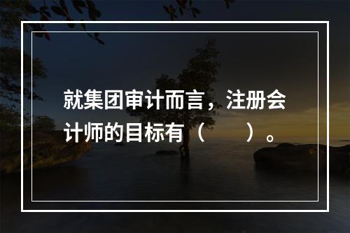 就集团审计而言，注册会计师的目标有（  ）。