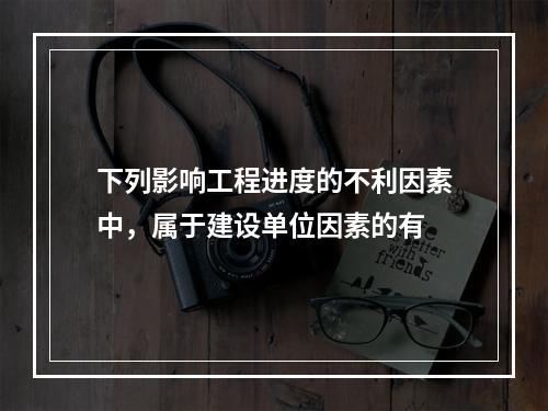 下列影响工程进度的不利因素中，属于建设单位因素的有