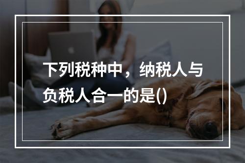 下列税种中，纳税人与负税人合一的是()