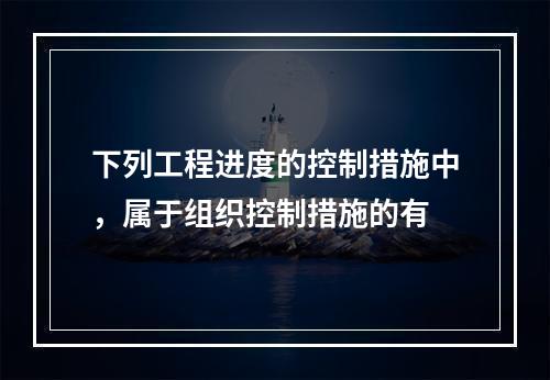 下列工程进度的控制措施中，属于组织控制措施的有