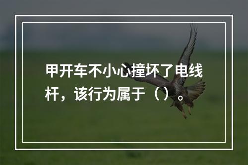 甲开车不小心撞坏了电线杆，该行为属于（ ）。