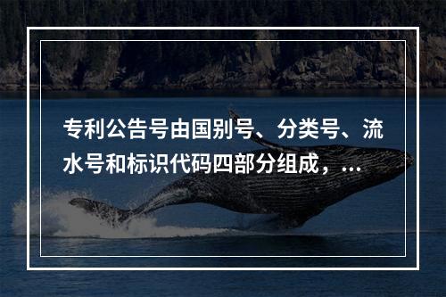 专利公告号由国别号、分类号、流水号和标识代码四部分组成，下列