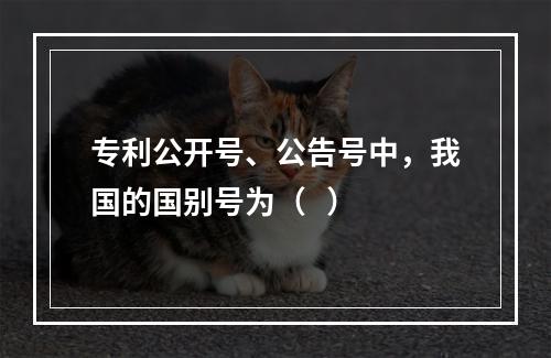 专利公开号、公告号中，我国的国别号为（   ）