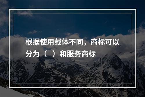 根据使用载体不同，商标可以分为（   ）和服务商标