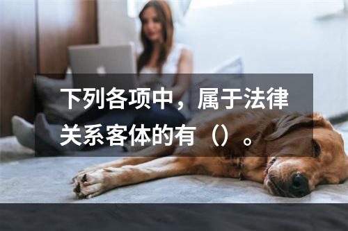 下列各项中，属于法律关系客体的有（）。