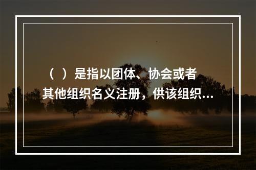 （   ）是指以团体、协会或者其他组织名义注册，供该组织成员