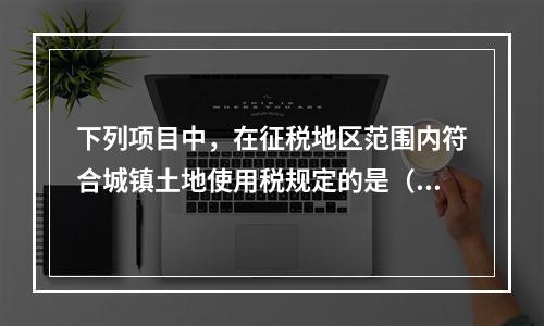 下列项目中，在征税地区范围内符合城镇土地使用税规定的是（  