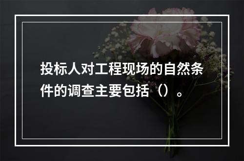 投标人对工程现场的自然条件的调查主要包括（）。