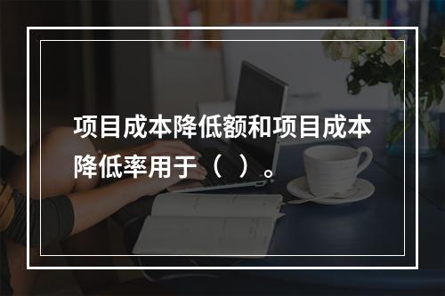 项目成本降低额和项目成本降低率用于（   ）。