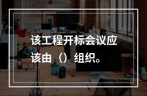 该工程开标会议应该由（）组织。