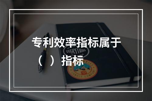 专利效率指标属于（   ）指标