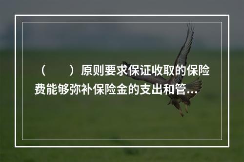 （　　）原则要求保证收取的保险费能够弥补保险金的支出和管理成