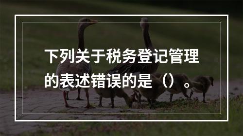 下列关于税务登记管理的表述错误的是（）。