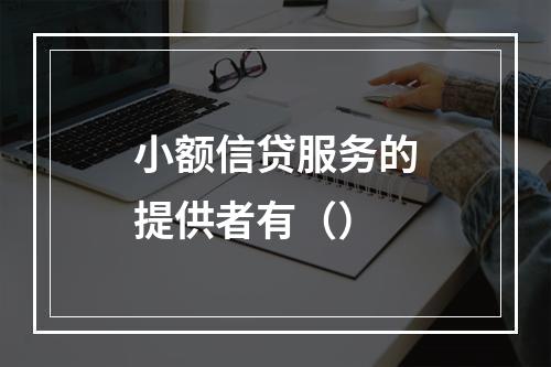 小额信贷服务的提供者有（）