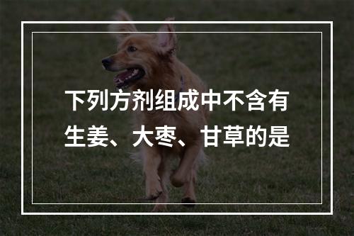 下列方剂组成中不含有生姜、大枣、甘草的是