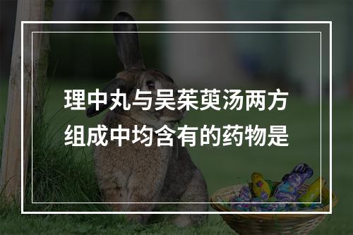 理中丸与吴茱萸汤两方组成中均含有的药物是