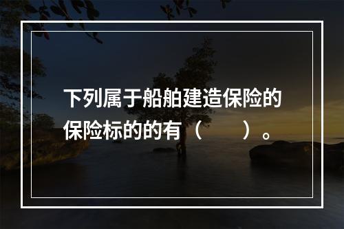 下列属于船舶建造保险的保险标的的有（　　）。