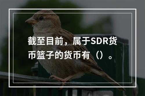 截至目前，属于SDR货币篮子的货币有（）。