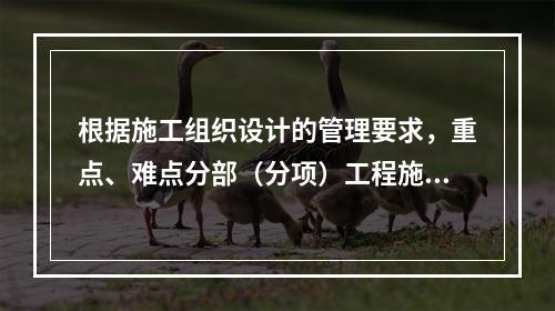 根据施工组织设计的管理要求，重点、难点分部（分项）工程施工方