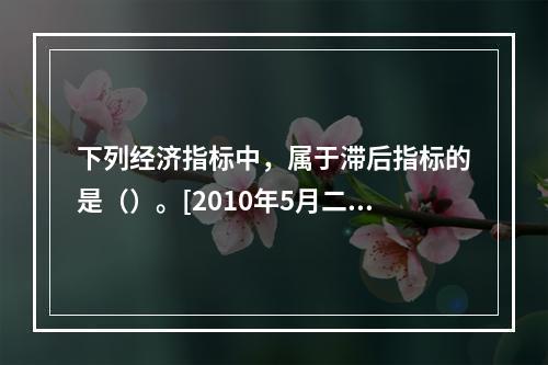 下列经济指标中，属于滞后指标的是（）。[2010年5月二级、