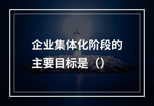 企业集体化阶段的主要目标是（）